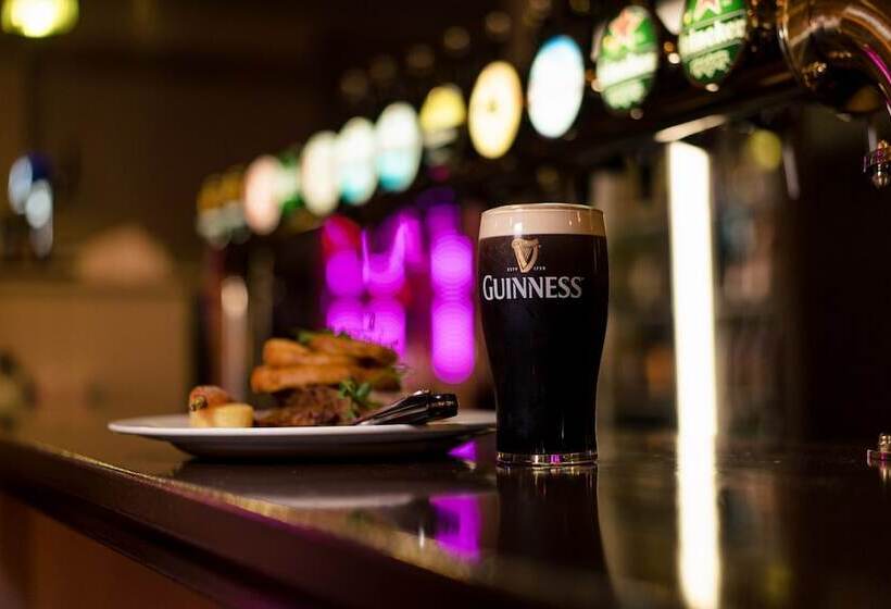 酒店 County Arms  Birr