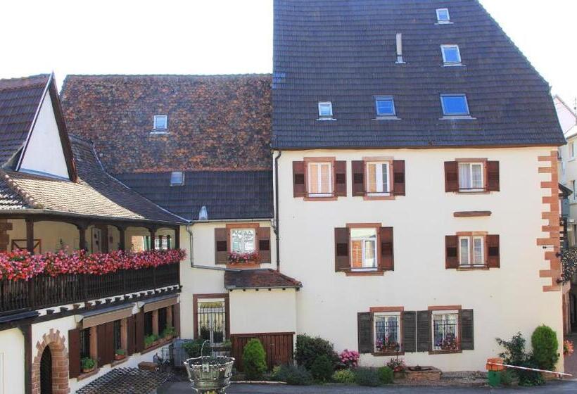 هتل Hostellerie Au Cygne