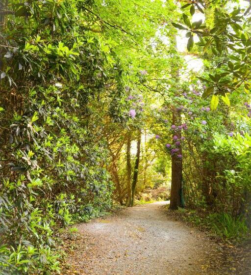 בית מלון כפרי Parknasilla Resort & Spa