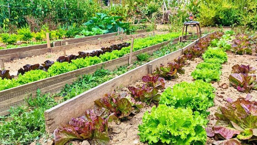 Logis Grand Hotel Pelisson