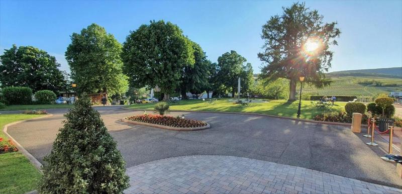 酒店 Chateau D Isenbourg & Spa