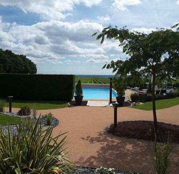 호텔 Chateau De Pizay