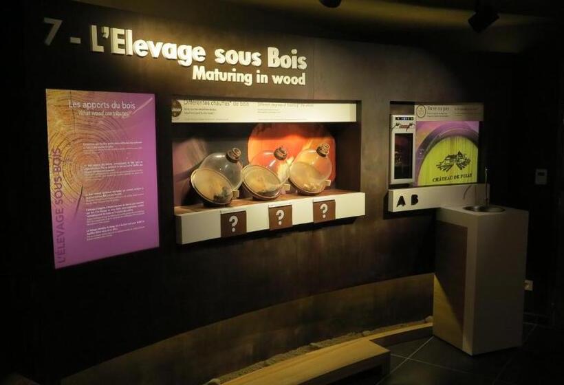 호텔 Chateau De Pizay