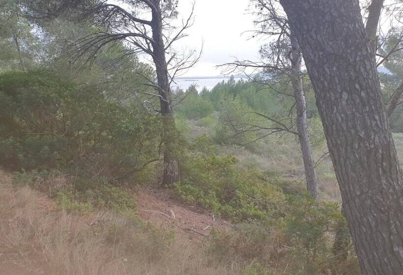 Отель Logis Hôtel & Restaurant Mediterranee