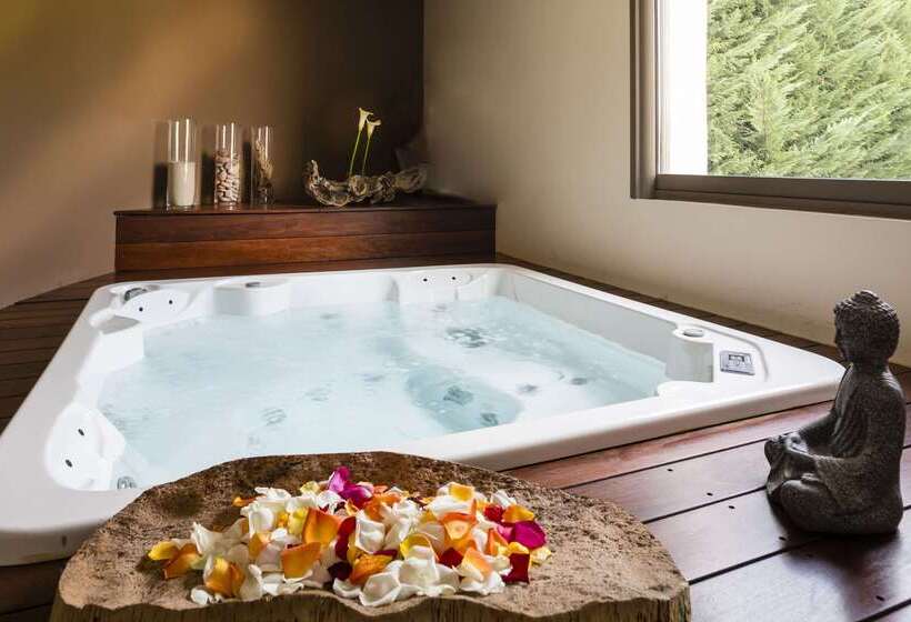 هتل Best Western Plus  Elixir Grasse