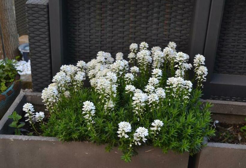 ホテル Durand Le Patio