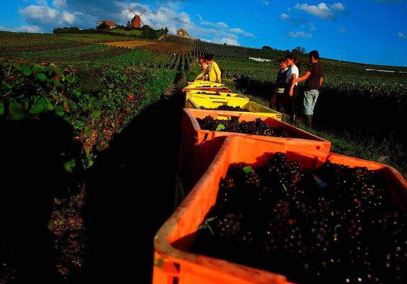 هتل Ibis Epernay Centre Ville