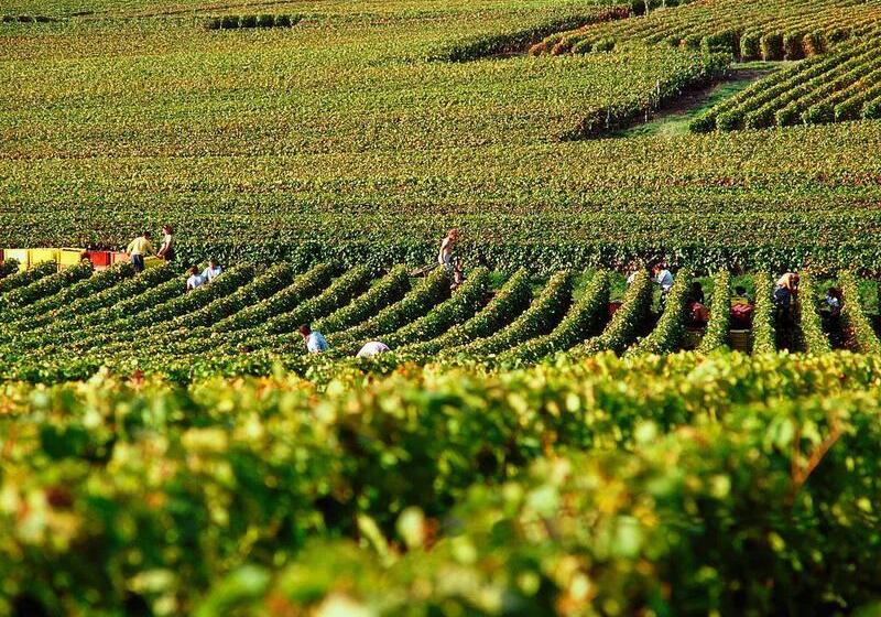 هتل Ibis Epernay Centre Ville