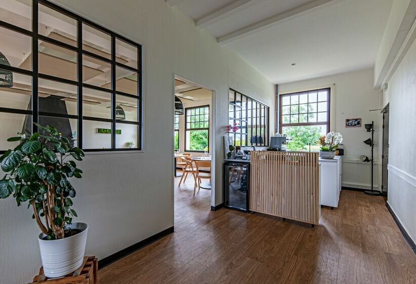 בית מלון כפרי Logis Auberge Des Aulnettes