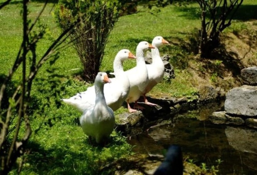 Maison Jenny Hotel Restaurant & Spa