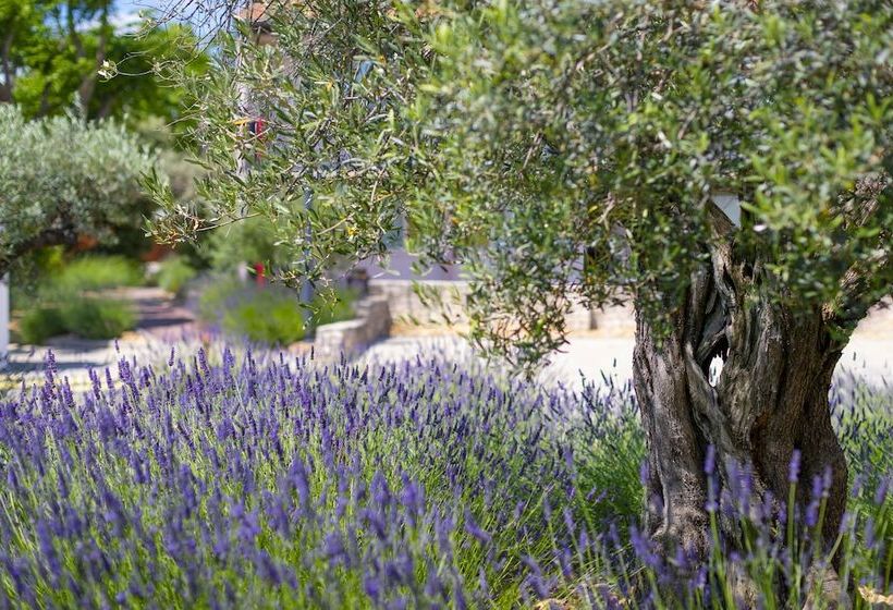 호텔 Terre De Provence Hôtel & Spa