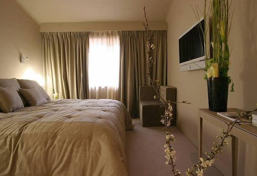 בית מלון כפרי De Mougins