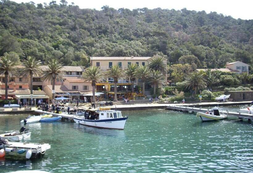 ホテル Hôtel Les Palmiers