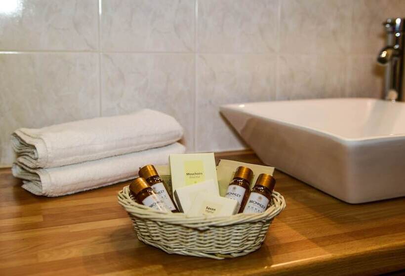 هتل Logis Le Vieux Logis