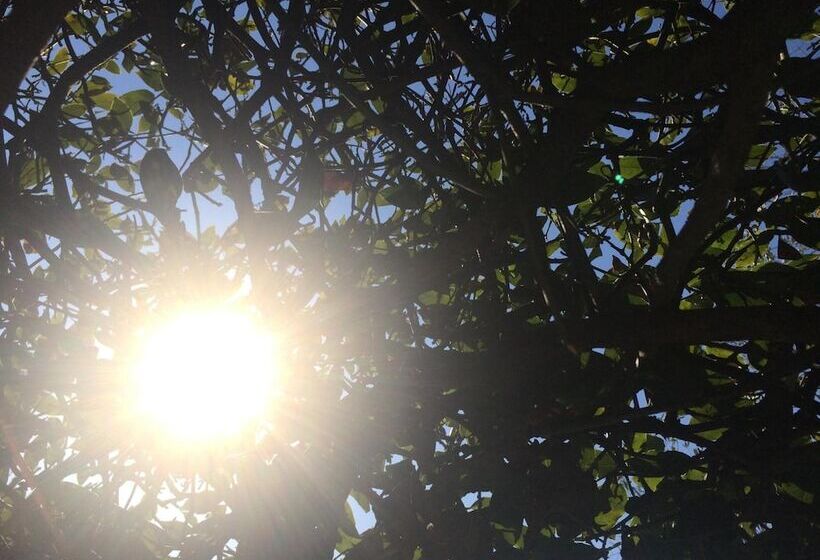 Mas De Vence   Hotel Restaurant