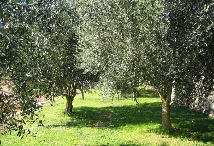 Mas De Vence   Hotel Restaurant