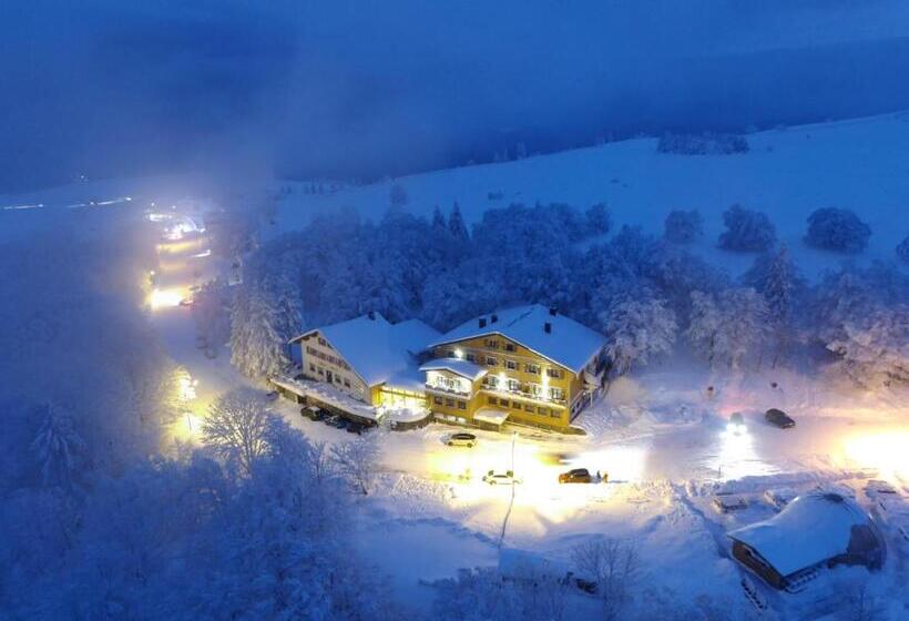 酒店 Hôtel Restaurant Wolf