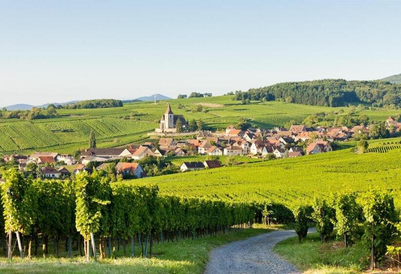 בית מלון כפרי Parc Hôtel