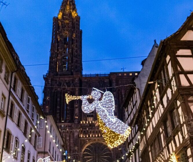 هتل Sofitel Strasbourg Grande Ile