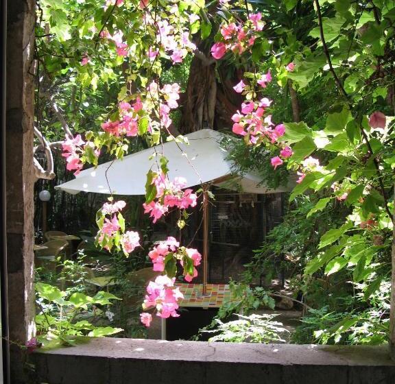 هتل Le Windsor, Jungle Art