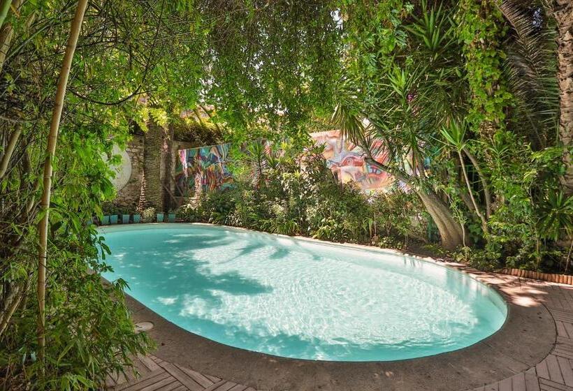 هتل Le Windsor, Jungle Art