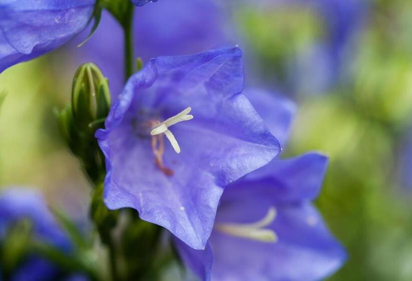 호텔 Summer Lodge Country House