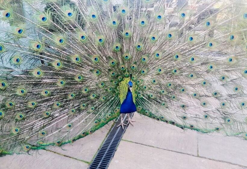فندق Potters Heron