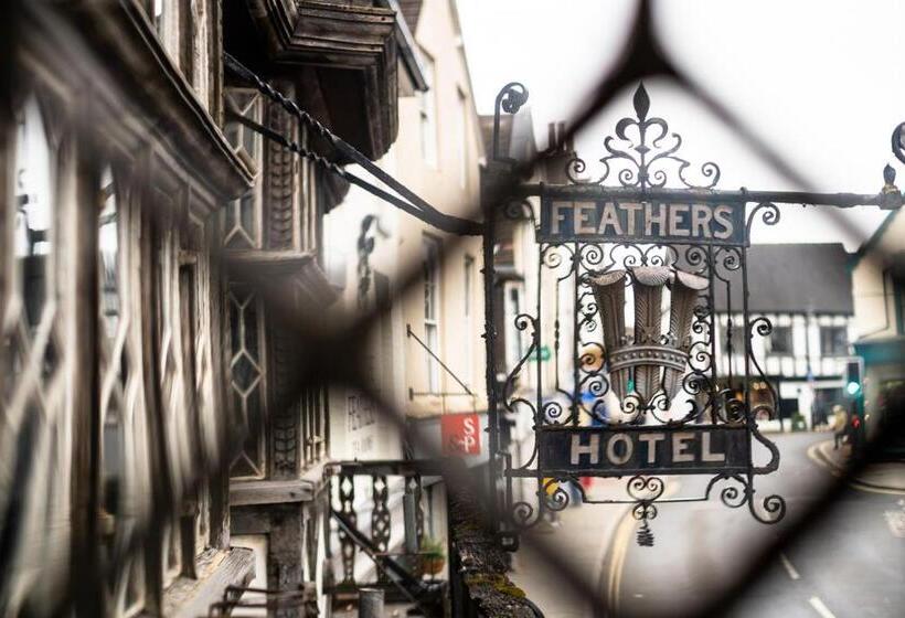فندق The Feathers