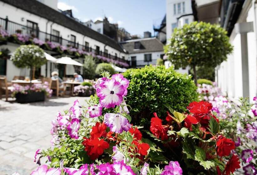 هتل The Stafford  London