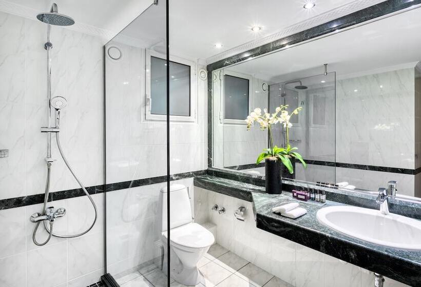 בית מלון כפרי Divani Palace Acropolis