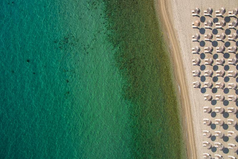 هتل Kassandra Palace Seaside Resort
