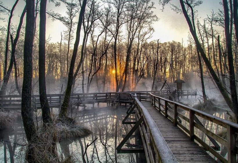 فندق Kristály Imperial