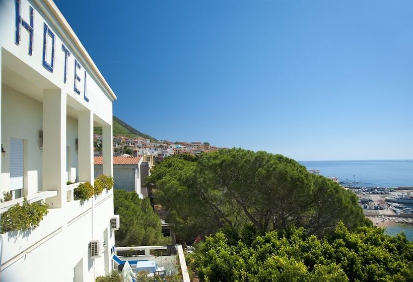 فندق Albergo Miramare