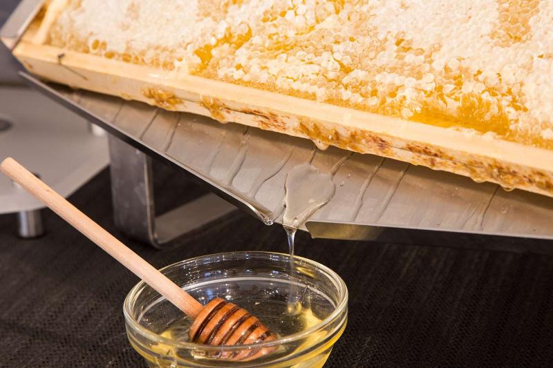 בית מלון כפרי Best Western Plus Chc Florence