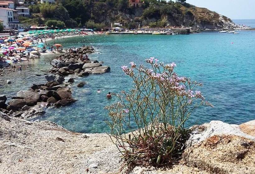 酒店 Cernia Isola Botanica