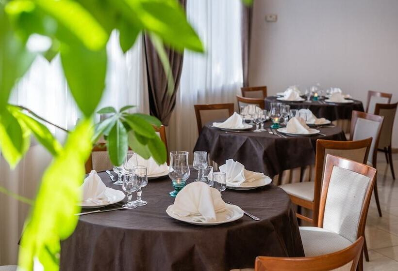 فندق Europa Palace