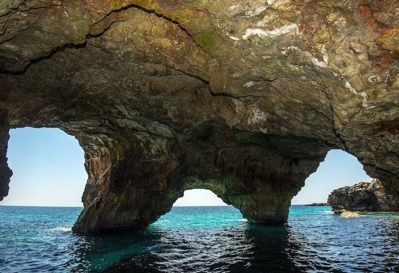 Terminal   Caroli Hotels