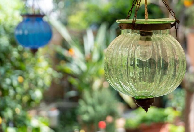 هتل Albergo Minerva