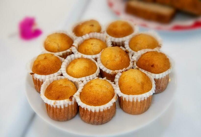 בית מלון כפרי Regina