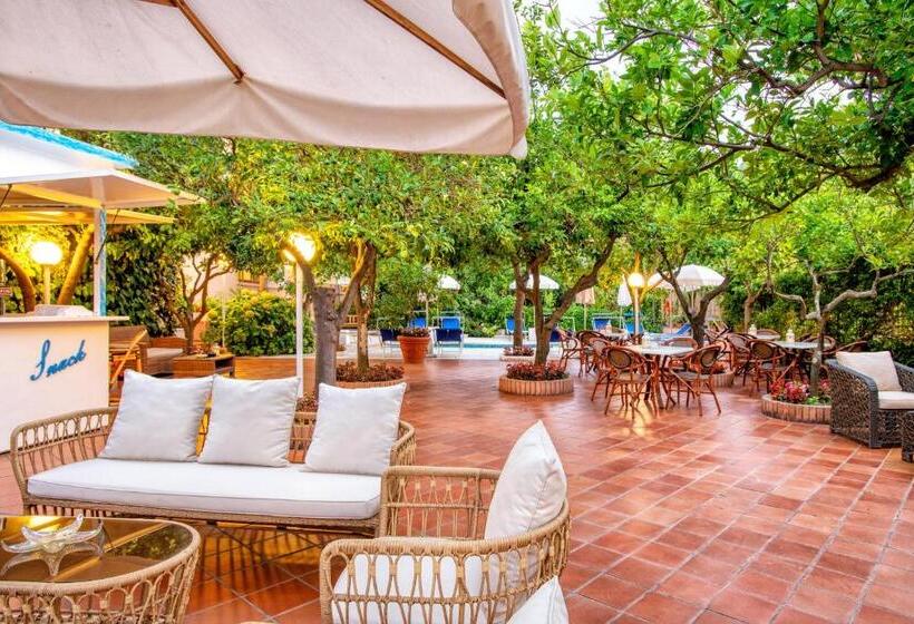 בית מלון כפרי Regina