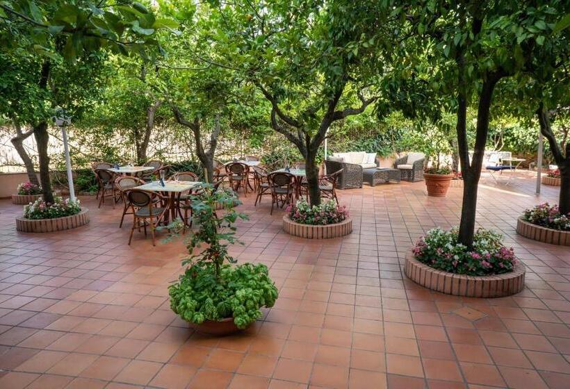 בית מלון כפרי Regina