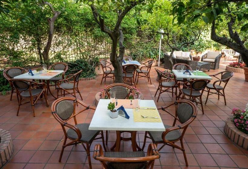 בית מלון כפרי Regina