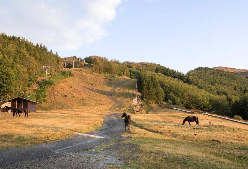 هتل San Marco Sestola