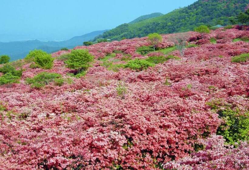 هتل Pearl City Kesennuma