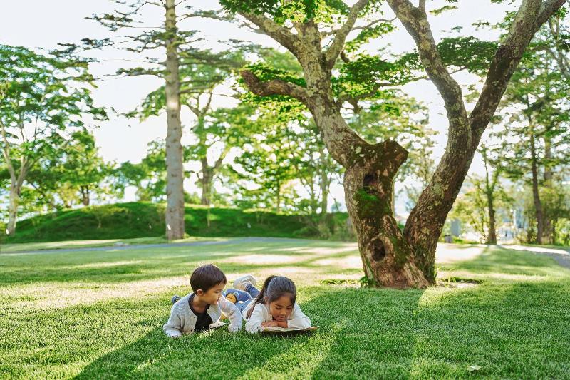בית מלון כפרי The Ritzcarlton, Nikko
