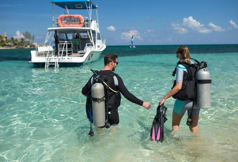 هتل Couples Tower Isle