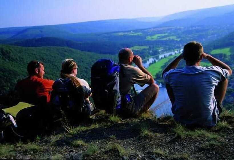 هتل Des Ardennes