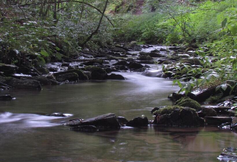 هتل Des Ardennes