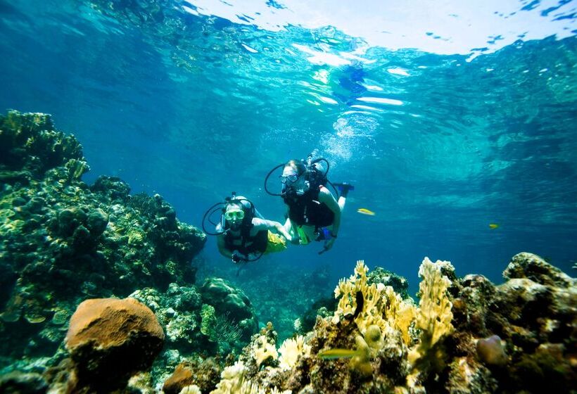 هتل Sandals Montego Bay   All Inclusive Couples Only