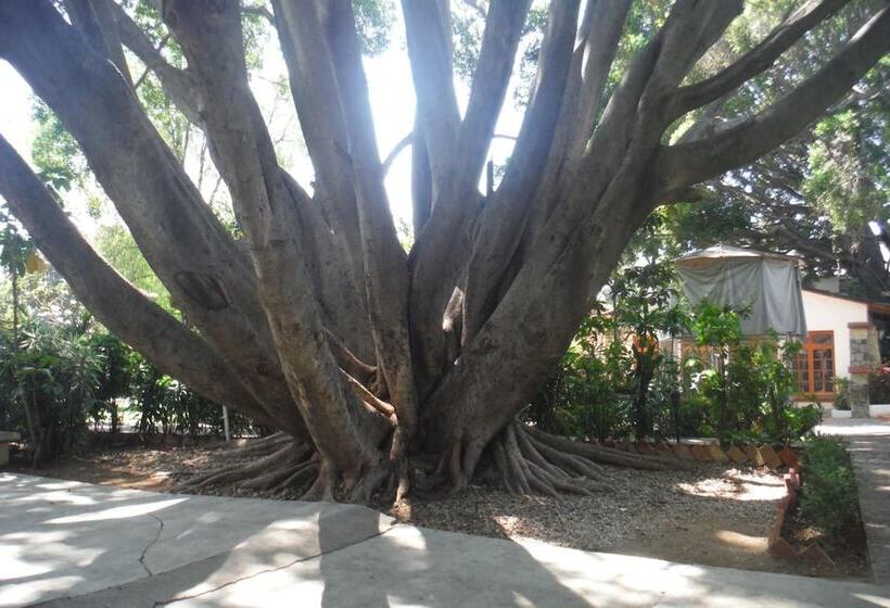 هتل Mision De Los Angeles